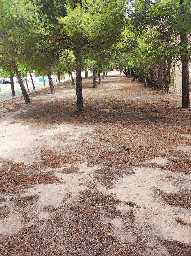 Apartamento Completo, Mascotas Aceptadas Arenales del Sol Exteriör bild